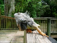 t-PB-Zoo-016.jpg