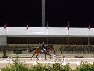 Tree Lightling & Tree Lightling & Dressage 12-08-014-t.jpg